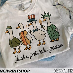 Patriotic Goose PNG, 4th of July Silly Goose png, USA Goose Sublimation Design, Funny USA png,  Independence Day png, Sublimation png design