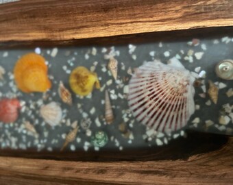 LARGE: Black Walnut / Clear Epoxy with Seashell River Serving Board