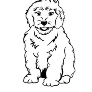 Coloring Pages | Goldendoodle | Digital, Downloadable Coloring Pages image 4