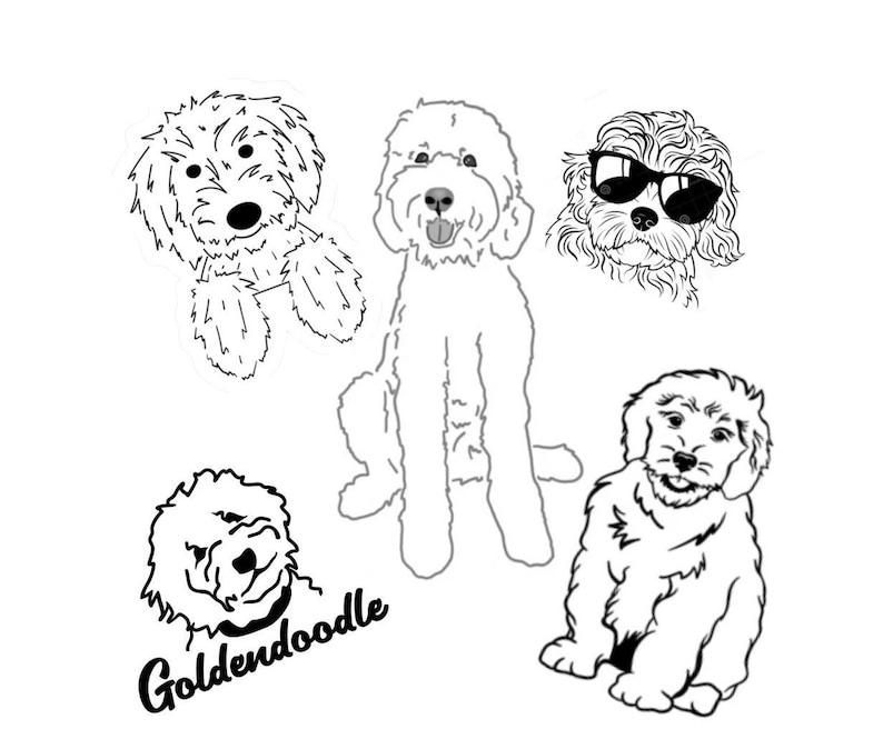 Coloring Pages | Goldendoodle | Digital, Downloadable Coloring Pages image 1