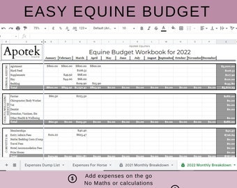 Equine Budget Spreadsheet 2024/25