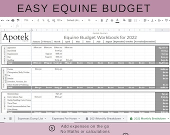 Equine Budget Spreadsheet 2024/25