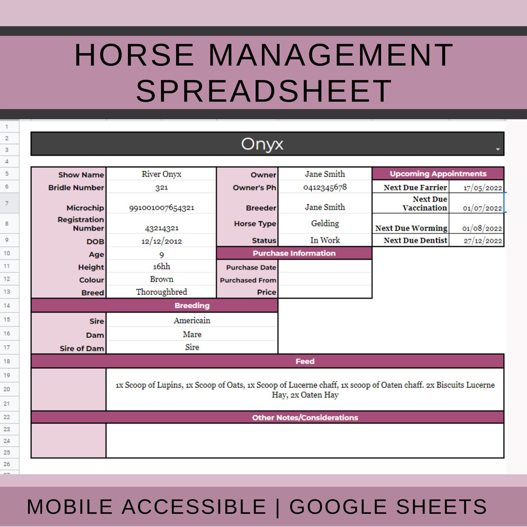 Multiple Horse Management Log Spreadsheet Etsy