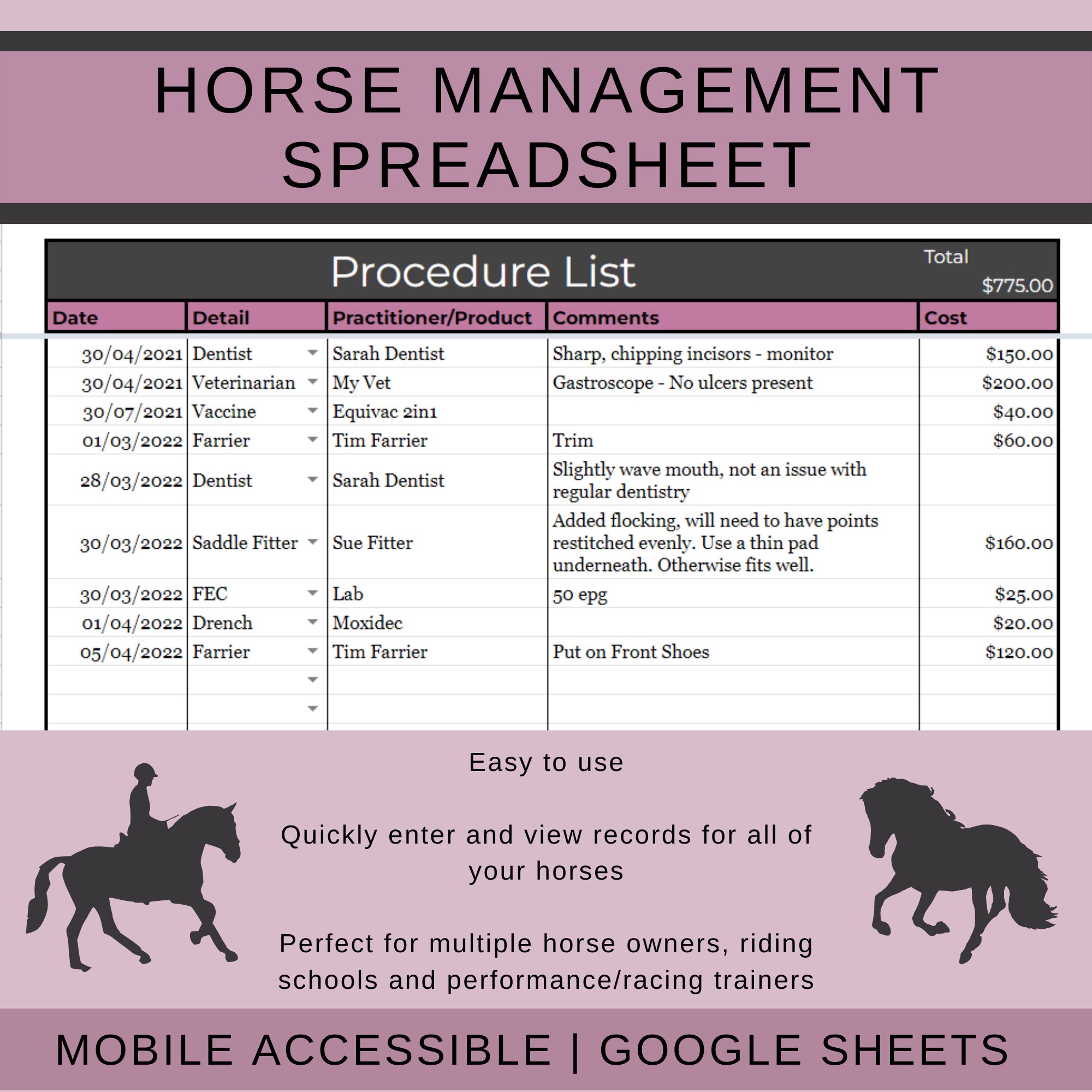 Horse Management Log Spreadsheet Etsy