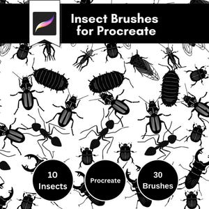 Procreate Insect Brush Pack, 10 Different Bugs, Hand Drawings for Art and Coloring Books