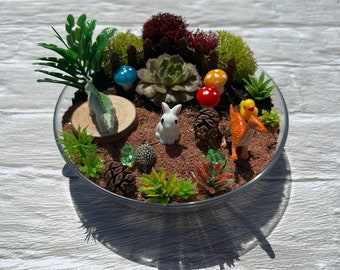 Dinosaur Succulent Garden Kit