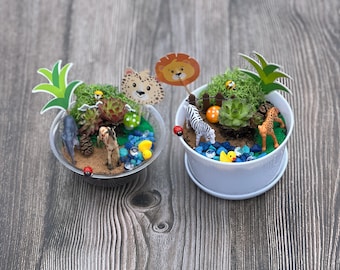 Mini Safari Adventure Kit - Succulent Garden