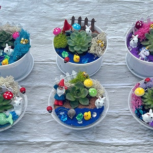 Mini Succulent Gardens - Choose your theme-  Perfect for Parties and Gifts!