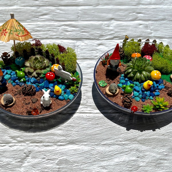 Gnome Succulent Garden Kit