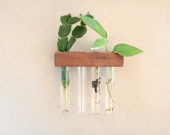 Plant Propagation Wall Display - Test Tube Propagation Station  - Solid Walnut/Maple Propagation Station - Plant lover Gift