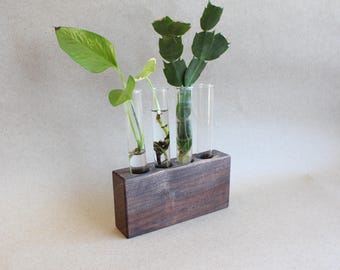 Handcrafted Walnut Plant Propagation Station: Plant Lover Gift