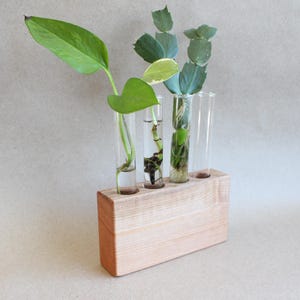 Handcrafted Maple Plant Propagation Station: Plant Lover Gift
