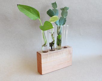 Handcrafted Maple Plant Propagation Station: Plant Lover Gift