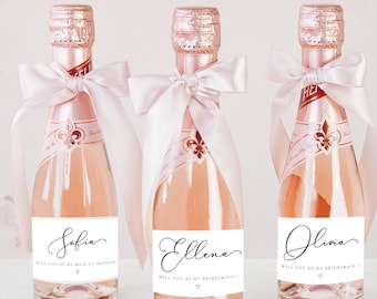 Bridesmaid Proposal Mini Wine Bottle Sticker, Prosecco Bottle Label, Pairs Well With Bridesmaid, Mini Champagne Sticker Bridesmaid,