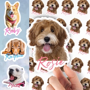 Dog  Stickers, Pet Decal, Dog Birthday Stickers, Custom Pet Stickers, Pet Sticker, Personalised Pet, Photo of Pet, Dog Face, Pet Face Decal