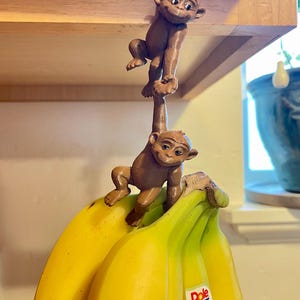 Apenduo voor het vasthouden van bananen