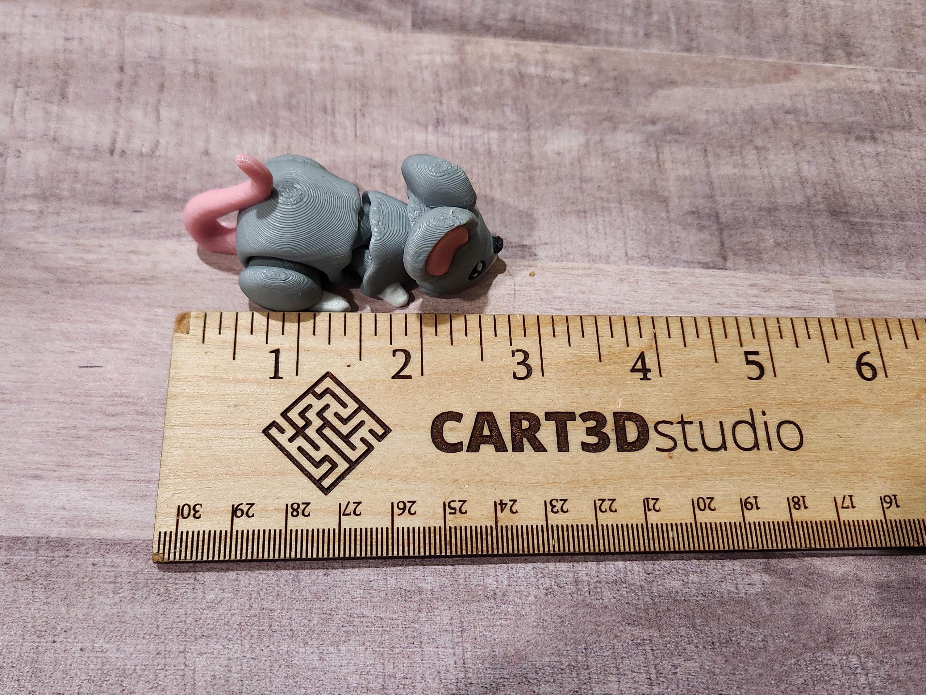 Mouse Fidget Toy Computer Mouse 3D Printed Articulated Mouse – Mouse Fidget - Etsy