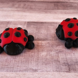 May include: Two red and black ladybug figurines with black spots and legs. The ladybugs are made of a smooth, shiny material.