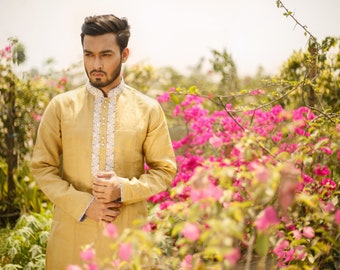 Embroidered Cotton Kurta in Light Olive