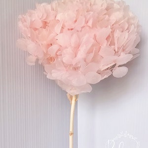 Preserved LIGHT PINK Hydrangea, Large Petals, Natural Dried flower, DIY Home Décor, Boho, Wedding Bouquet, Floral Arrangement, Sustainable