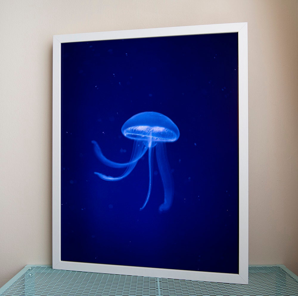 Photographie Encadrée