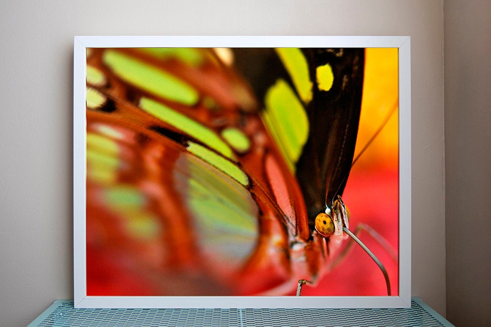 Photographie Encadrée