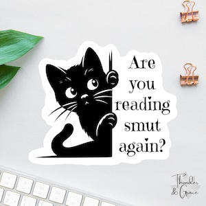 Pegatina de libros, ¿Estás leyendo obscenidades otra vez?, Pegatina de gato sarcástico, Calcomanía para amantes de los libros, Calcomanía para portátil, Regalos para lectores, Pegatina divertida para Kindle