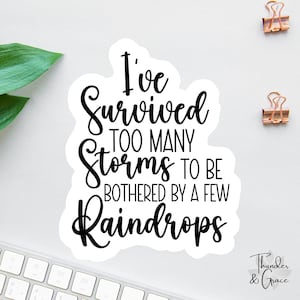 Ich habe zu viele Stürme überstanden Aufkleber, Krieger Zitat, Frauenrechte, Aufkleber Laptop, Worte der Affirmation, Autoaufkleber für Frauen, Überlebender