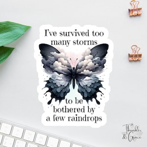 Ich habe zu viele Stürme überstanden Aufkleber, Affirmation Aufkleber, Bester Freund Geschenk, Chaos Koordinator, Kindle Aufkleber, Boho Schmetterling, Selbstliebe