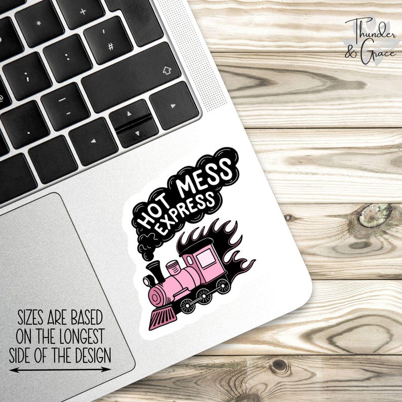 Hot Mess Express Sticker, Anxiety Sticker, Sarcastic Sticker, Funny Laptop Decal, Spicy Disaster, Funny Kindle Sticker, Chaos Coordinator image 2