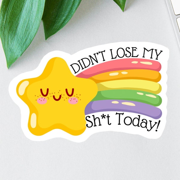 Didn't Lose My Sh*t Today Decal, Gold Star Sticker, Funny Office Decal, Funny mom gift, Laptop Decal, Water Bottle Decal, Nurse Magnet