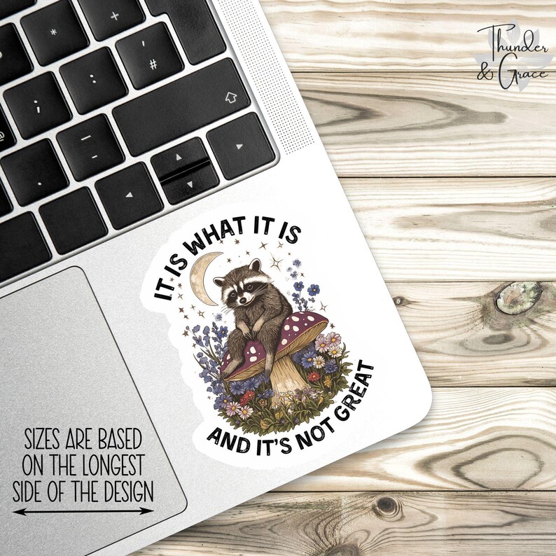 It Is What It Is And It's Not Great Sticker, Vintage Raccoon, Woodland Animal Sticker, Funny Laptop Decal, Coworker Magnet, Trash Panda image 2