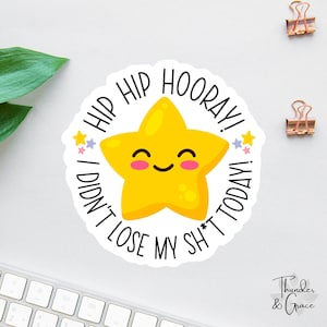 Didn't Lose My Sh*t Today Decal, Gold Star Sticker, Funny Office Decal, Funny mom gift, Sarcastic Sticker, Kindle Sticker, Nurse Magnet
