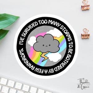 Sticker, angststicker, sarcastische sticker, bevestiging laptopsticker Ik heb te veel stormen overleefd om te worden gestoord door een paar regendruppels