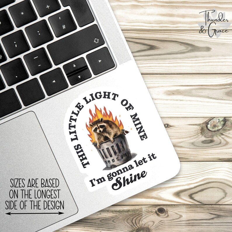 This Little Light Of Mine, I'm Gonna Let It Shine, Raccoon Dumpster Fire Sticker, Anxiety Sticker, Sarcastic Sticker, Funny Laptop Decal, image 2