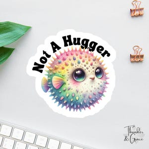 Not A Hugger Aufkleber, Kawaii Kaktus Liebhaber, Angst Aufkleber, sarkastischer Aufkleber, lustiger Laptop Aufkleber, Chaos Koordinate, antisozialer Club