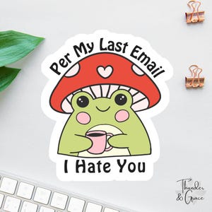 Sticker grappige kikker of magneet, volgens mijn laatste e-mail, I Hate You-sticker, Sarcastische sticker, Don't Bug Me, Leave Me Alone, Kindle-sticker