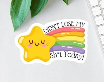 Didn't Lose My Sh*t Today Decal, Gold Star Sticker, Funny Office Decal, Funny mom gift, Laptop Decal, Water Bottle Decal, Nurse Magnet