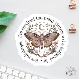 I&#39;ve Survived Too Many Storms Stickers, Warrior Quote, Womens Rights, Stickers Laptop, Boho Butterfly Sticker, Car Decals For Women