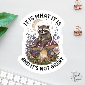 It Is What It Is And It's Not Great Sticker, Vintage Raccoon, Woodland Animal Sticker, Funny Laptop Decal, Coworker Magnet, Trash Panda image 1