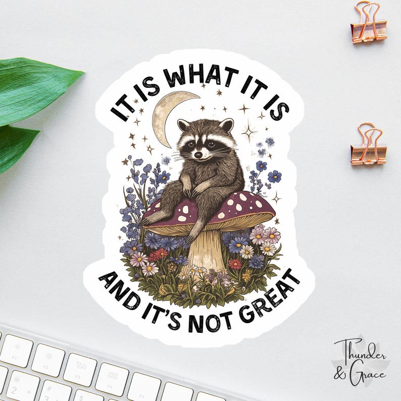 It Is What It Is And It's Not Great Sticker, Vintage Raccoon, Woodland Animal Sticker, Funny Laptop Decal, Coworker Magnet, Trash Panda image 1
