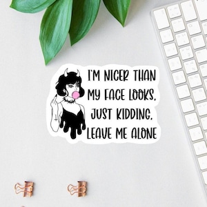 I'm Nicer Than My Face Looks Sticker, Sarcastic Sticker, Funny Laptop Sticker, Apparently I'm Dramatic, Car Decal, Punk Girl Decal, Funny