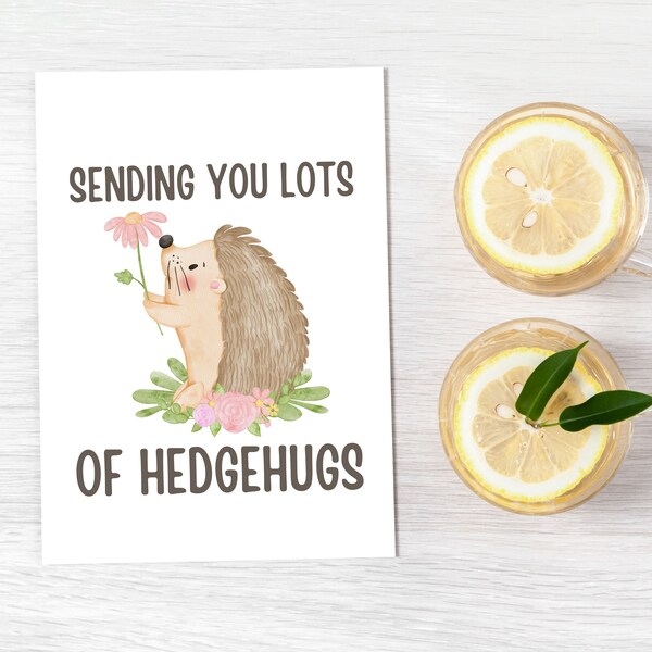 Sending Hedgehugs Etsy sending-hedgehugs-etsy