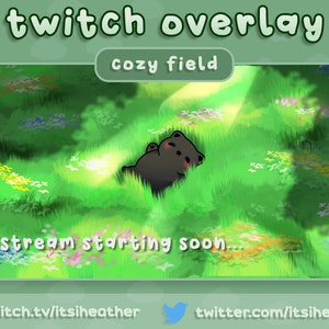 Cute Kawaii Black Cat Flower Field Animated Twitch Scenes and Overlay - BRB, Stream Starting, Stream Ending, Just Chatting, Offline