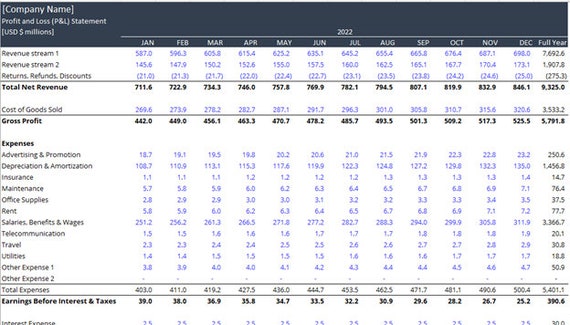 profit and loss statement business plan