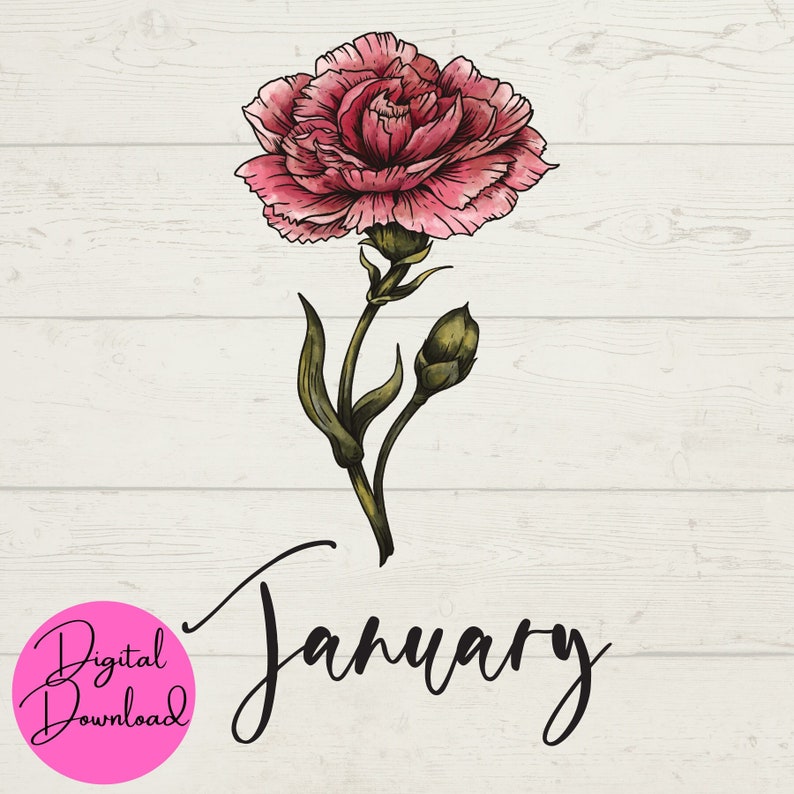 January Birth Flower SVG, January SVG, Flower SVG, Carnation Svg