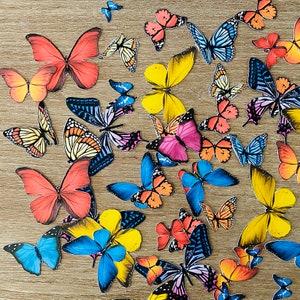 Colourful Butterfly Birthday Party Decor Craft DIY Confetti