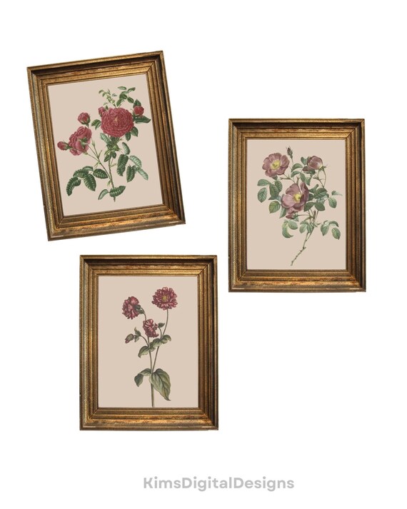 Vintage Floral Prints: Neutral Flower Art, Set of 3 (Digital Download)