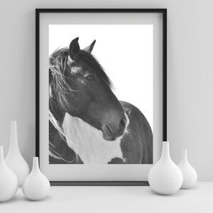 Horse Wall Art, Horse Photography, Horse Print, Wild Horse Photo, Printable Wall Art Instant Download, Digital Print, Animal Wall Decor