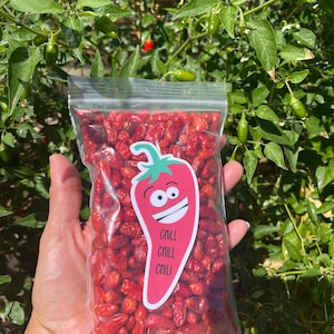 Chili Pequin peppers. organic whole dried peppers. Also known as birds eye peppers. Pequín peppers. Chili. dried chili peppers. spices